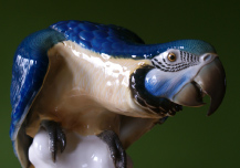 Haushaltsauflösungen - Warum wir Haushaltsauflösungen - Warum wir